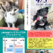 シタマチ.いぬねこ譲渡会