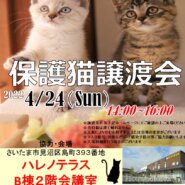 【さいたま市】4/24（日）ハレノテラス保護猫譲渡会