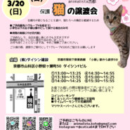 保護猫の譲渡会