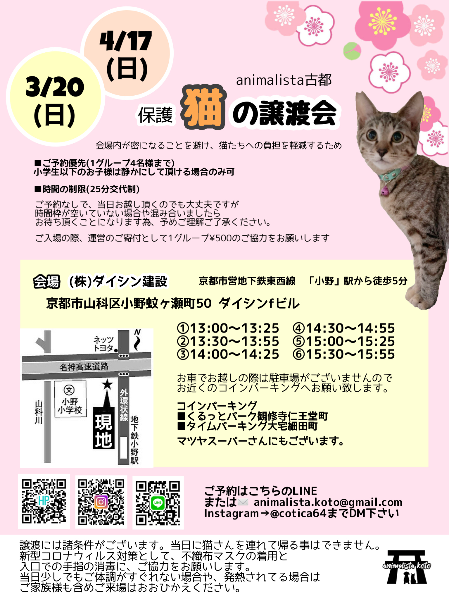 保護猫の譲渡会