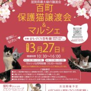百町保護猫譲渡会&マルシェ