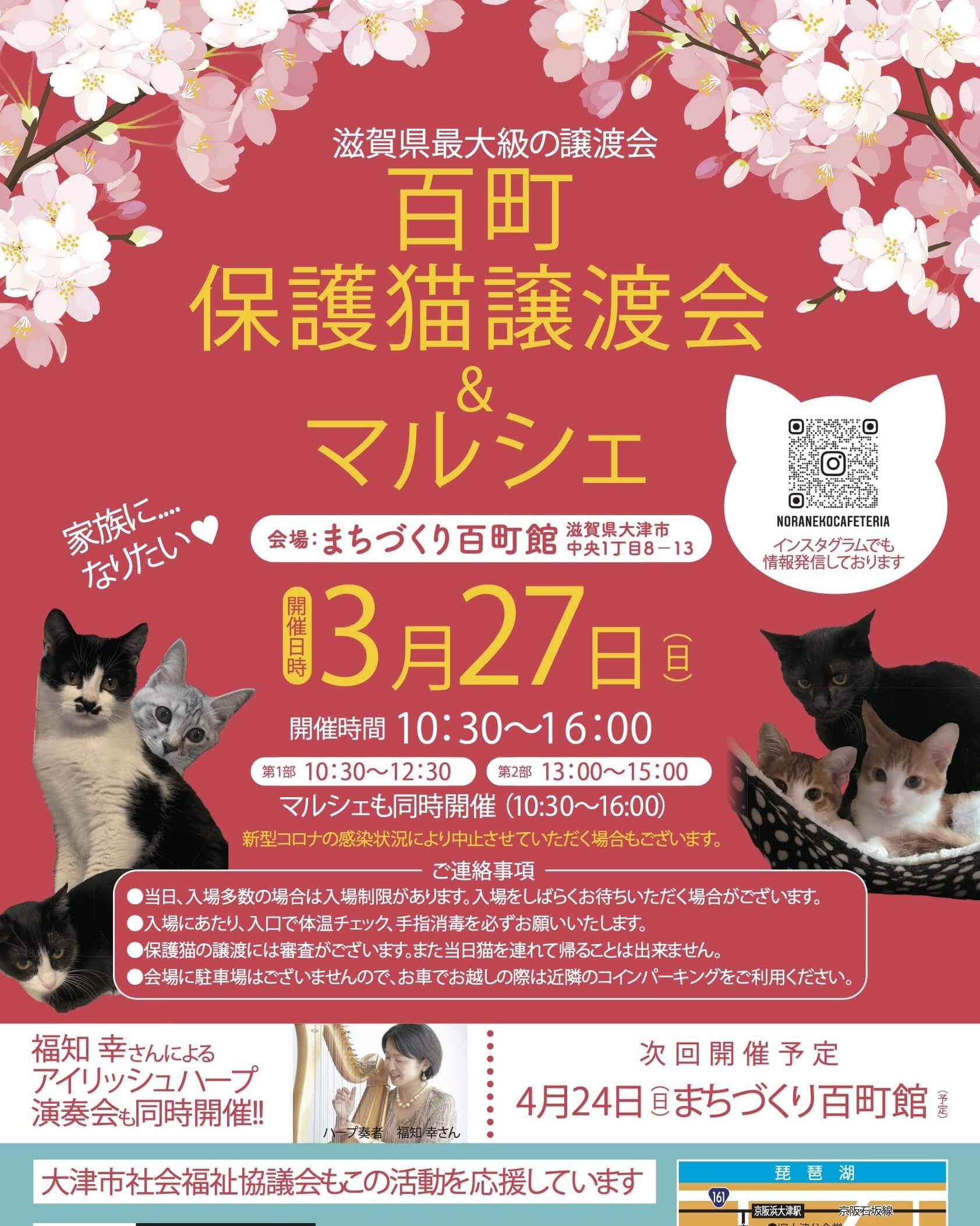 百町保護猫譲渡会&マルシェ