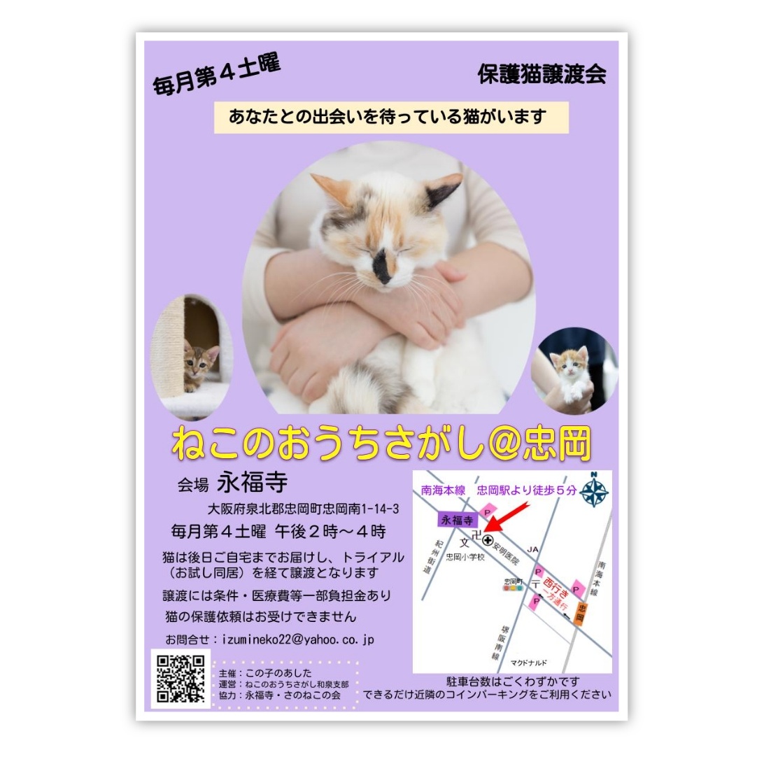 第4回ねこのおうちさがし＠忠岡