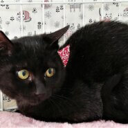 元気でやんちゃな、小次郎くん