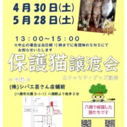 保護猫譲渡会