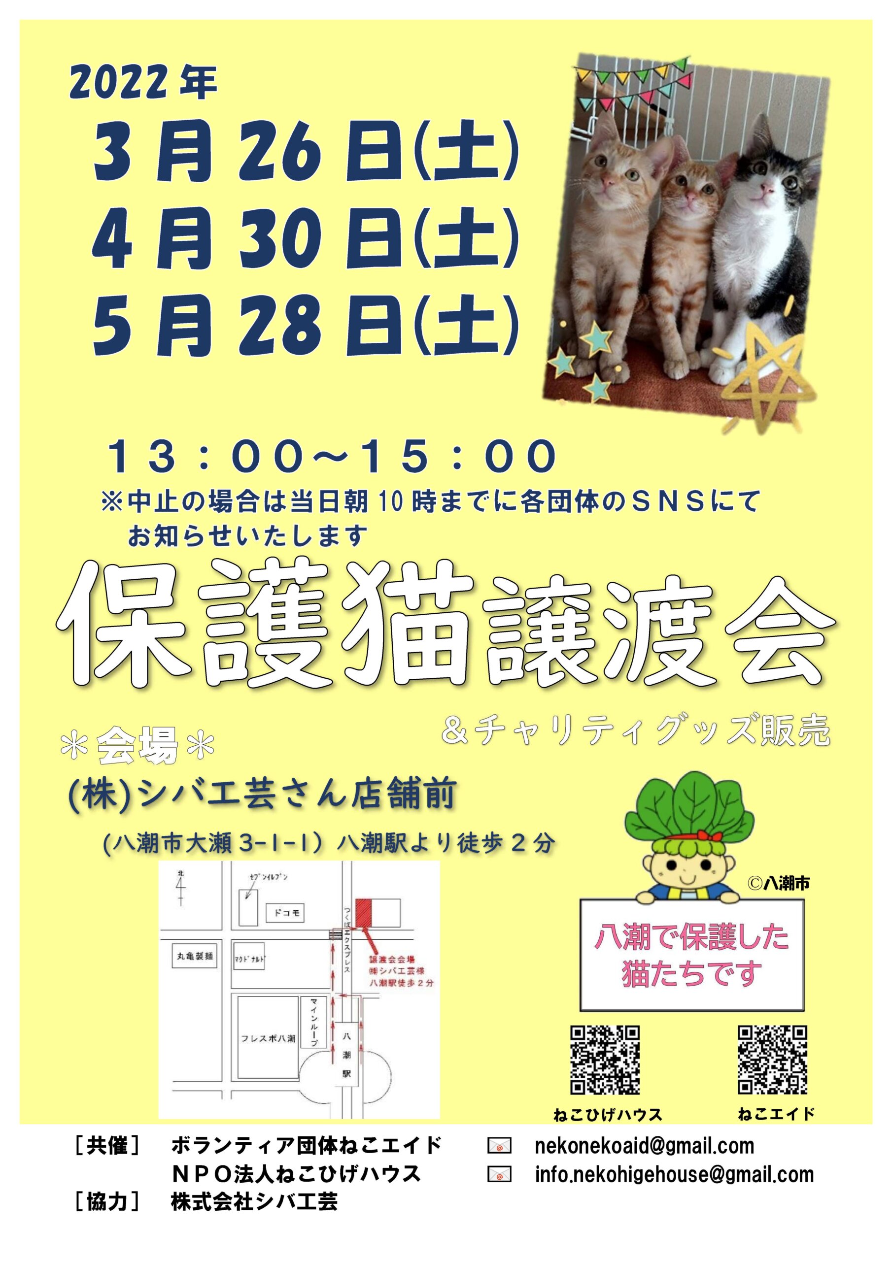 保護猫譲渡会