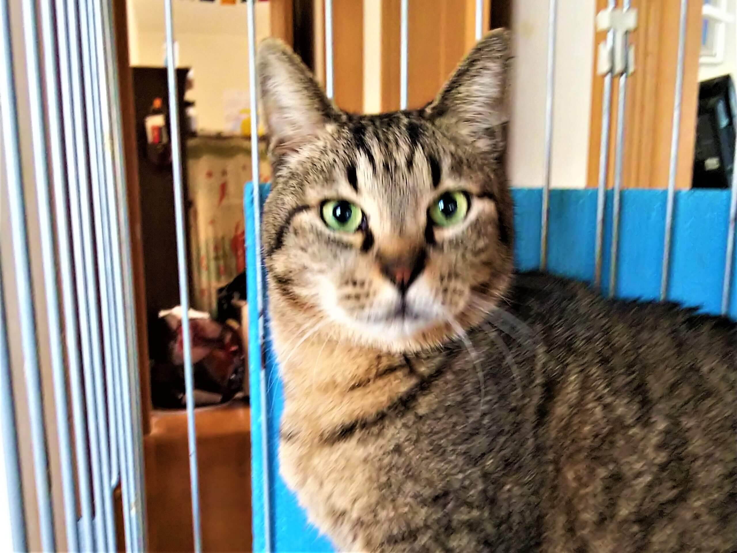 甘えた男子の　栄ちゃん♪