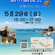 葉山ねこねこランド保護猫譲渡会