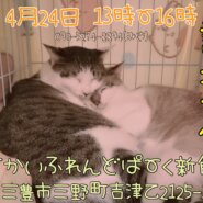 犬猫譲渡会開催致します