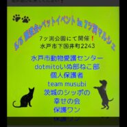 七ツ洞マルシェ（譲渡会・ペットイベント）