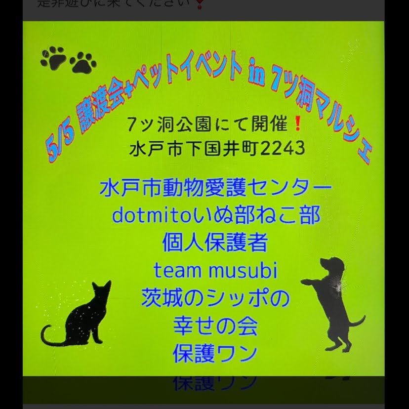 七ツ洞マルシェ（譲渡会・ペットイベント）