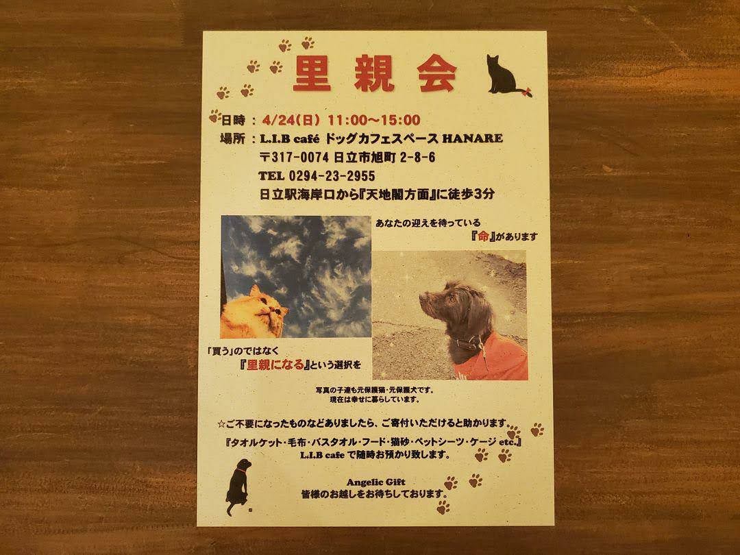里親会 @L.I.Bcafe