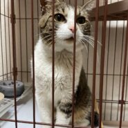 甘えん坊な小柄な男の子