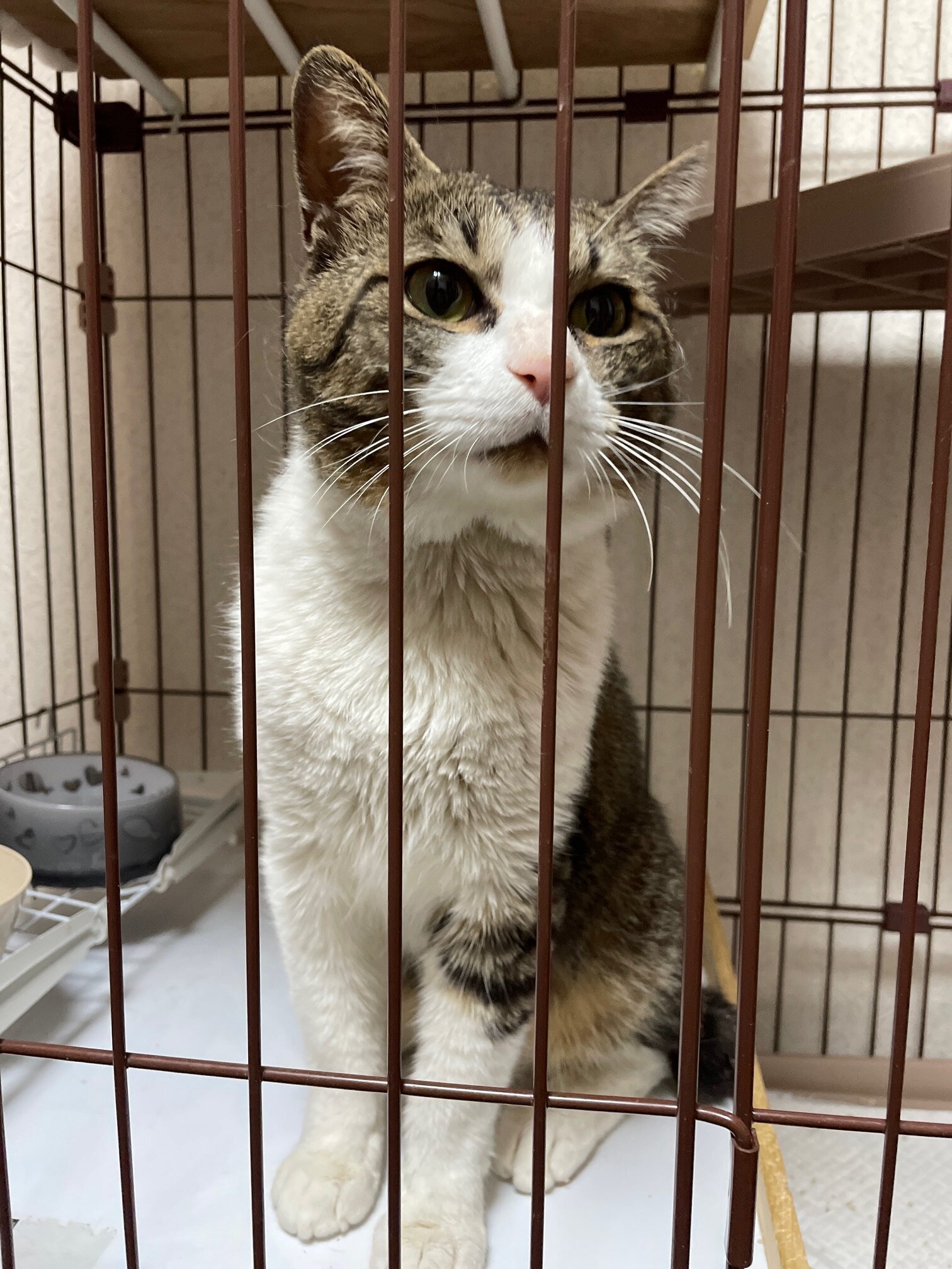 甘えん坊な小柄な男の子