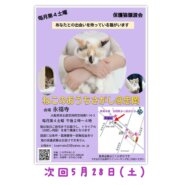 第5回ねこのおうちさがし＠忠岡