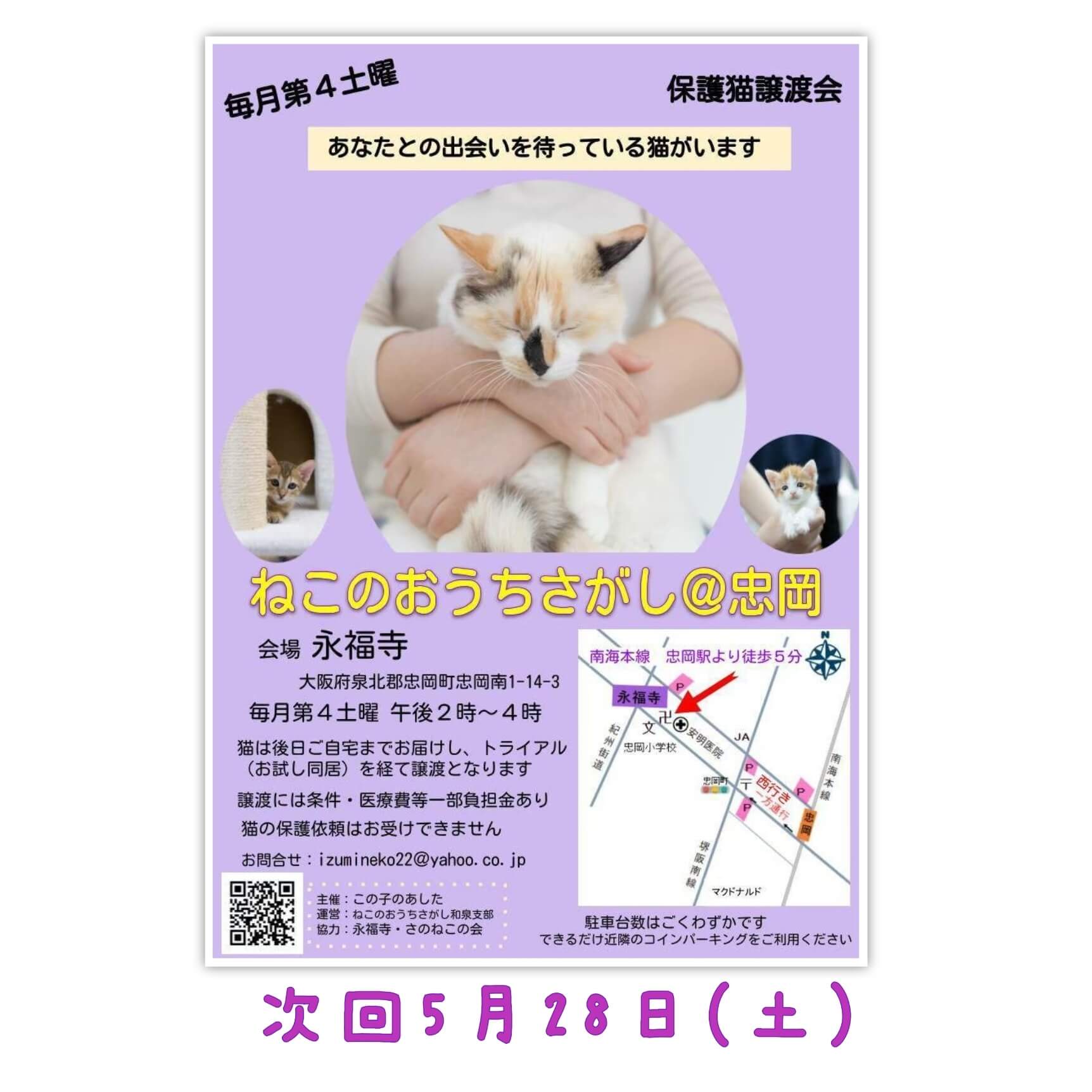 第5回ねこのおうちさがし＠忠岡