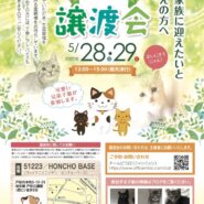 保護猫の譲渡会