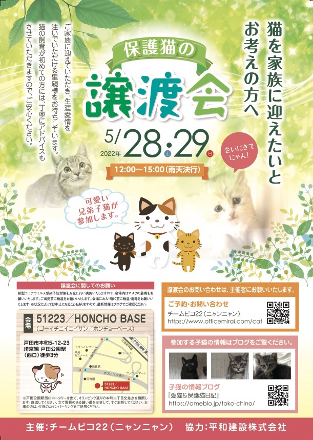 保護猫の譲渡会