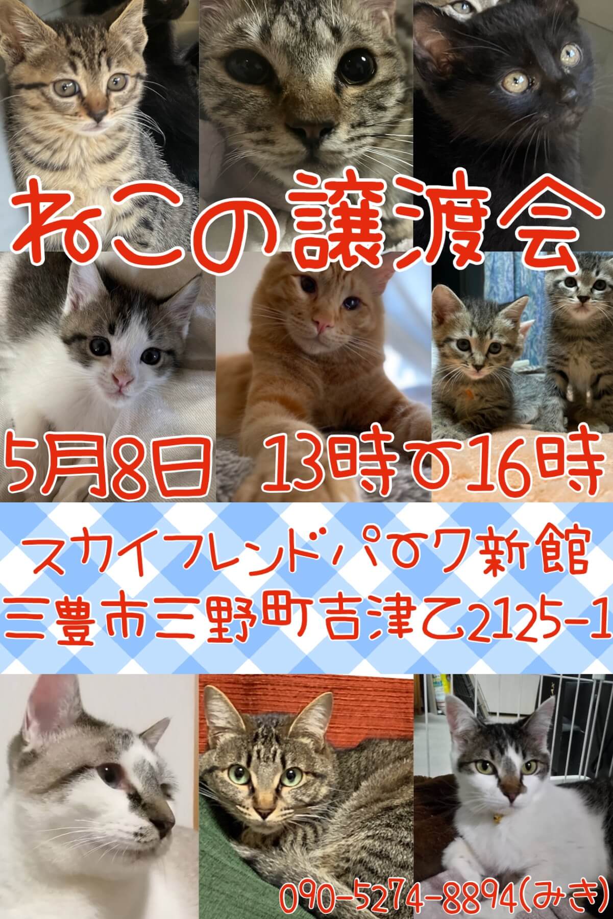 香川県 犬猫譲渡会開催♬︎♡