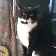 末っ子 守ってあげたくなる ばっちゃん♪