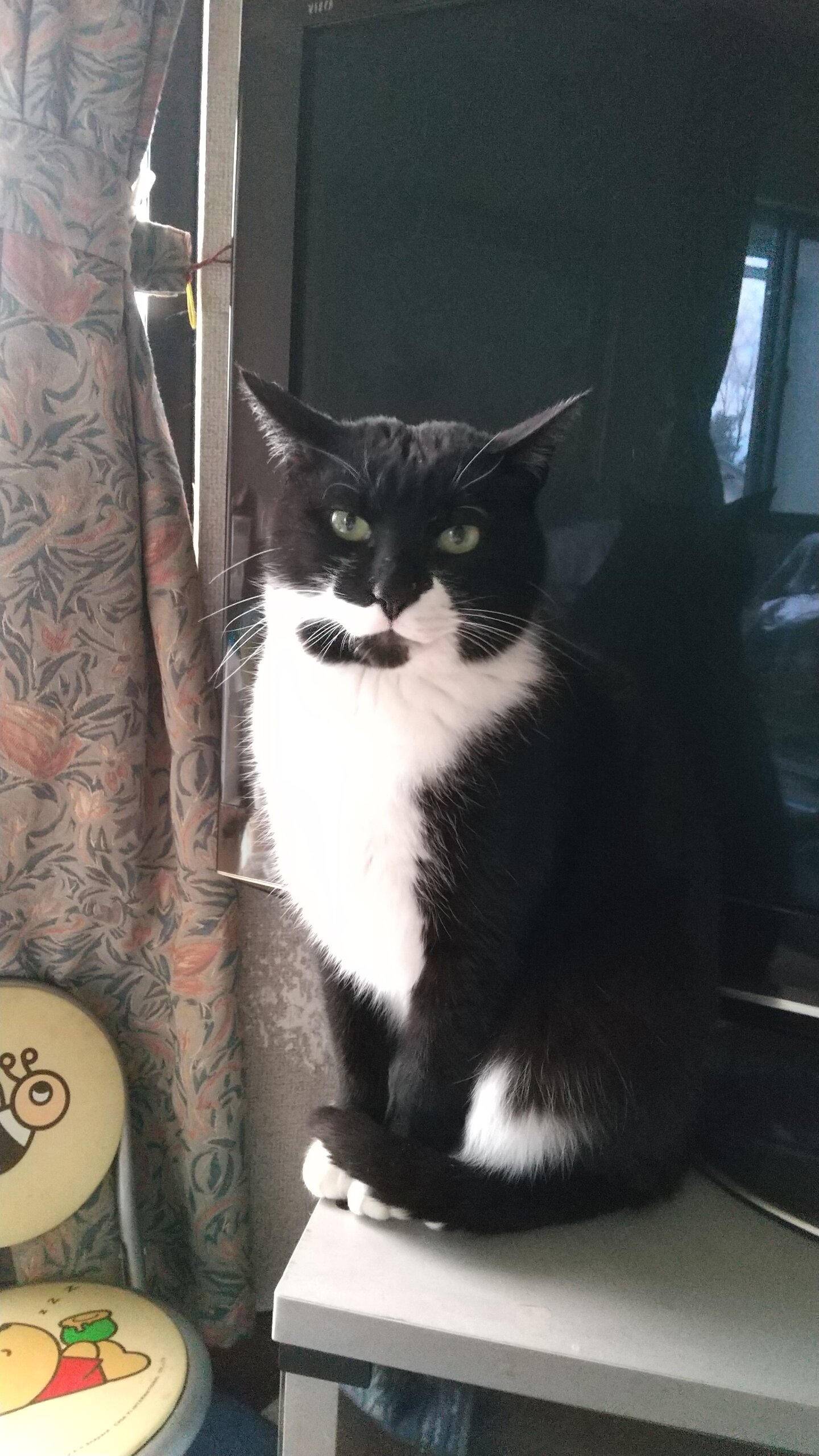 末っ子 守ってあげたくなる ばっちゃん♪