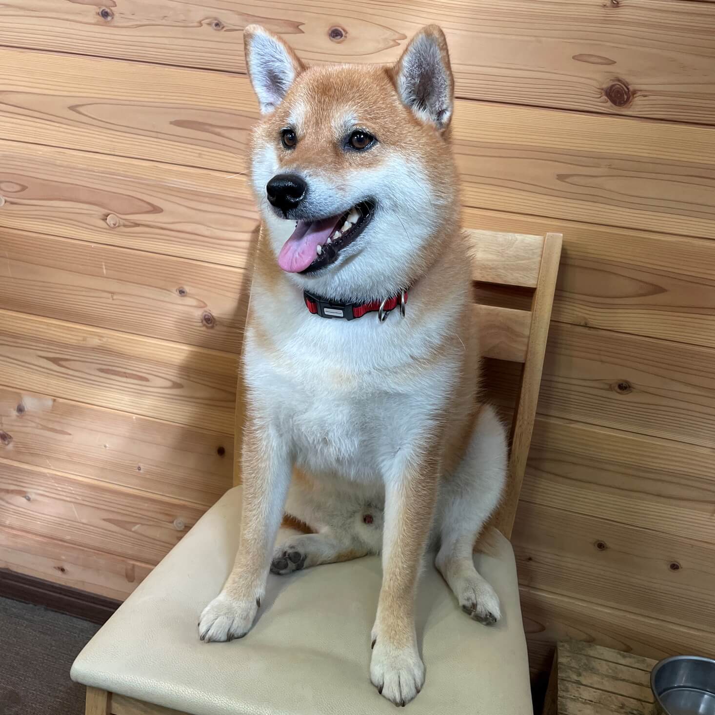 前科ありでも愛してくれる家族募集