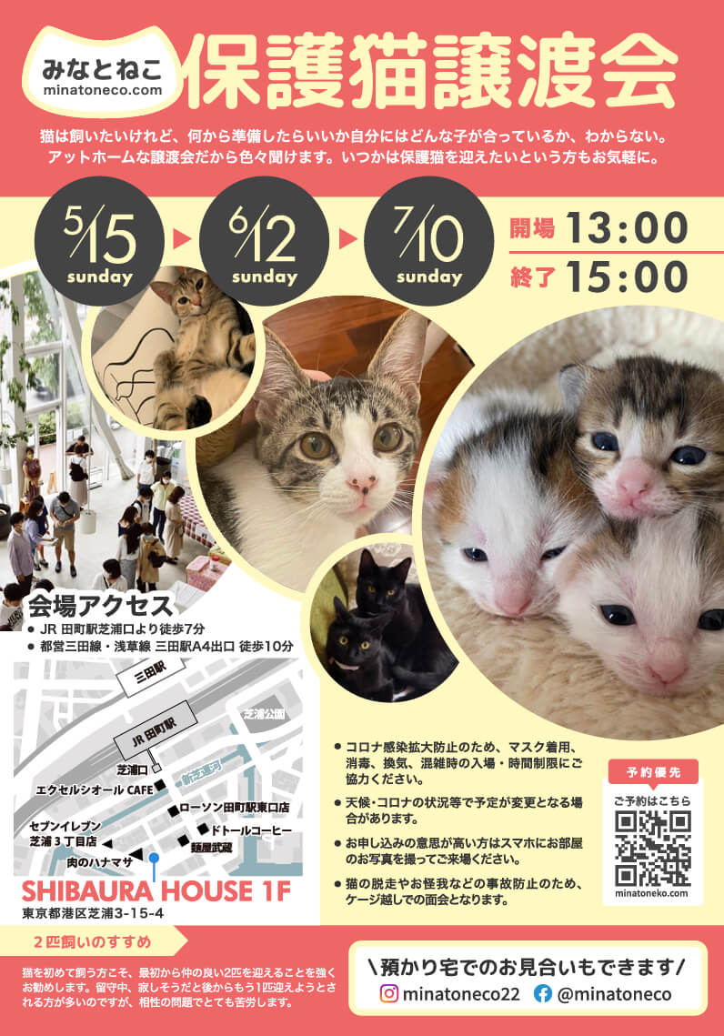 【東京・芝浦】みなとねこ保護猫譲渡会