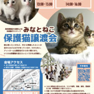 みなとねこ保護猫譲渡会 in 芝浦