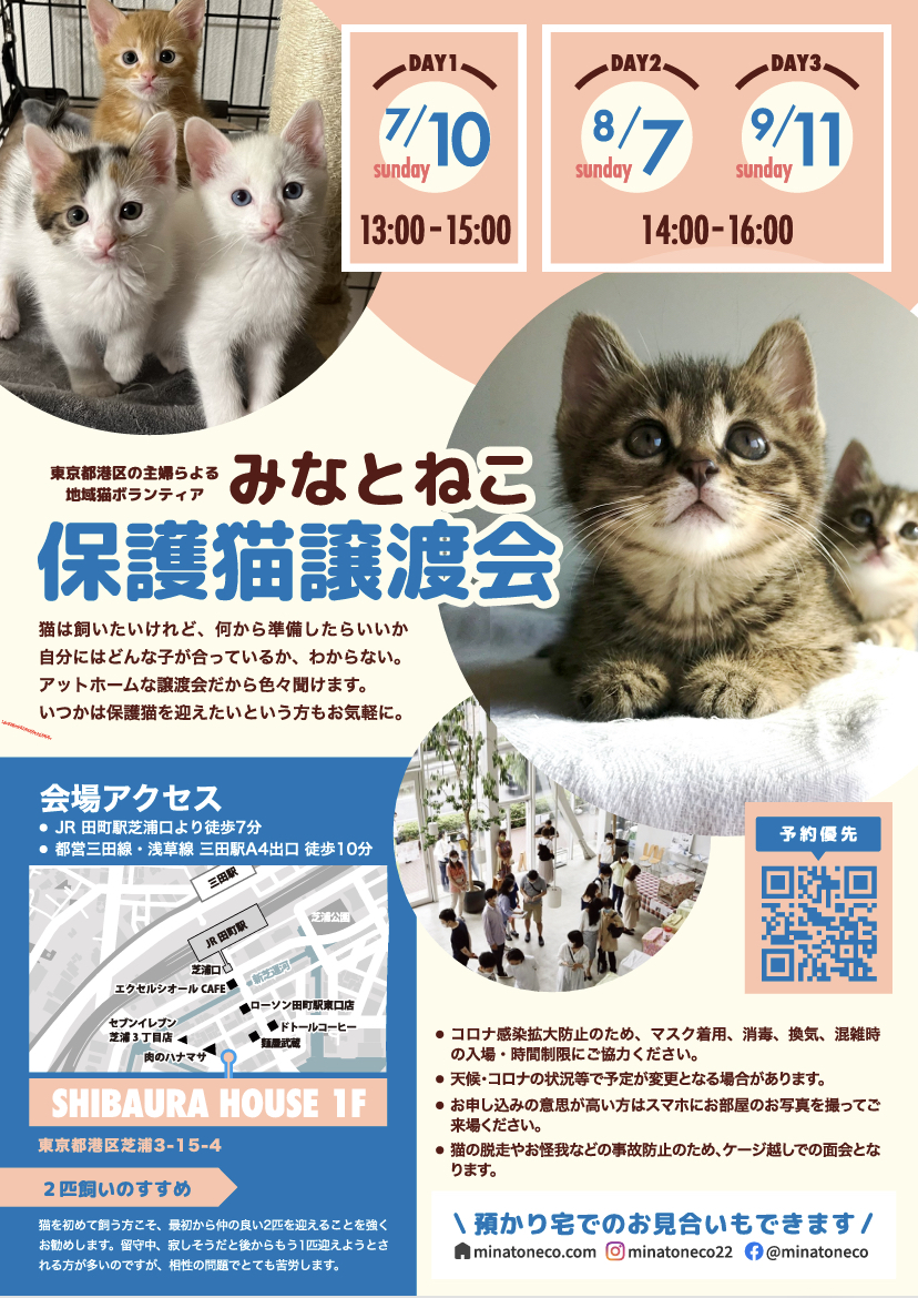 みなとねこ保護猫譲渡会 in 芝浦