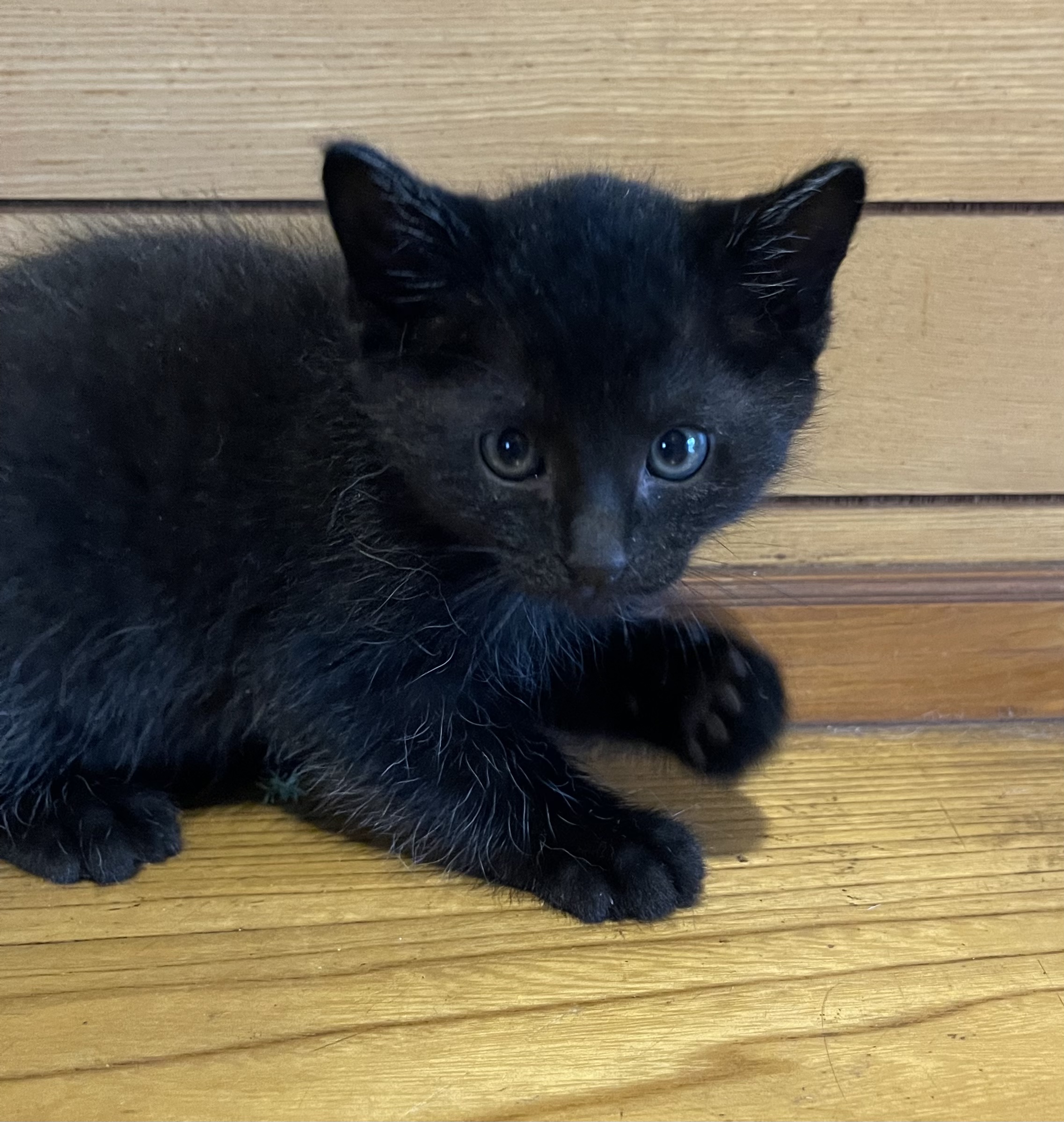 生後２ヶ月の赤ちゃん（男の子）