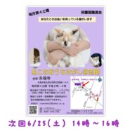 第６回ねこのおうちさがし＠忠岡