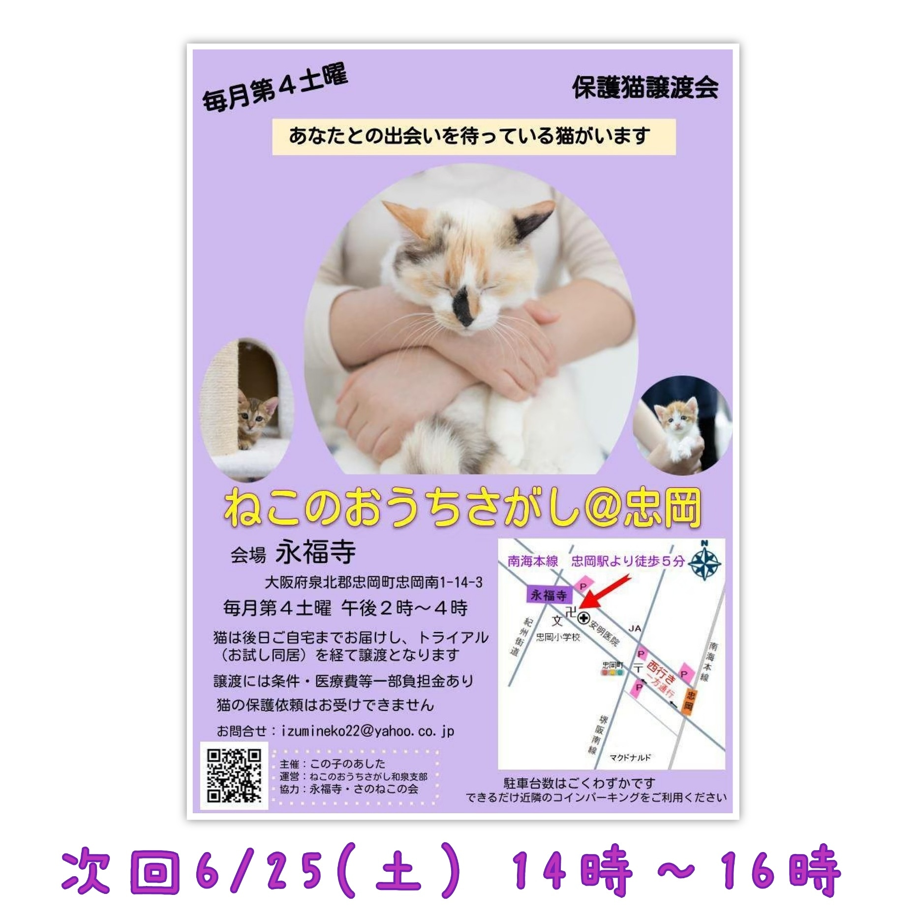 第６回ねこのおうちさがし＠忠岡