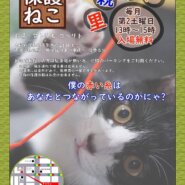 保護ねこ里親会にゃ🐾