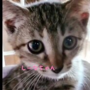 誰とでも仲良し♡女の子