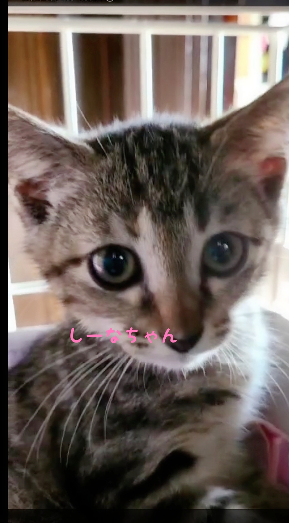 誰とでも仲良し♡女の子