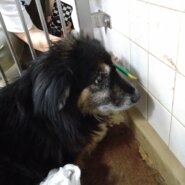 ちょっと若くないかもですが、一生懸命生きてきました。