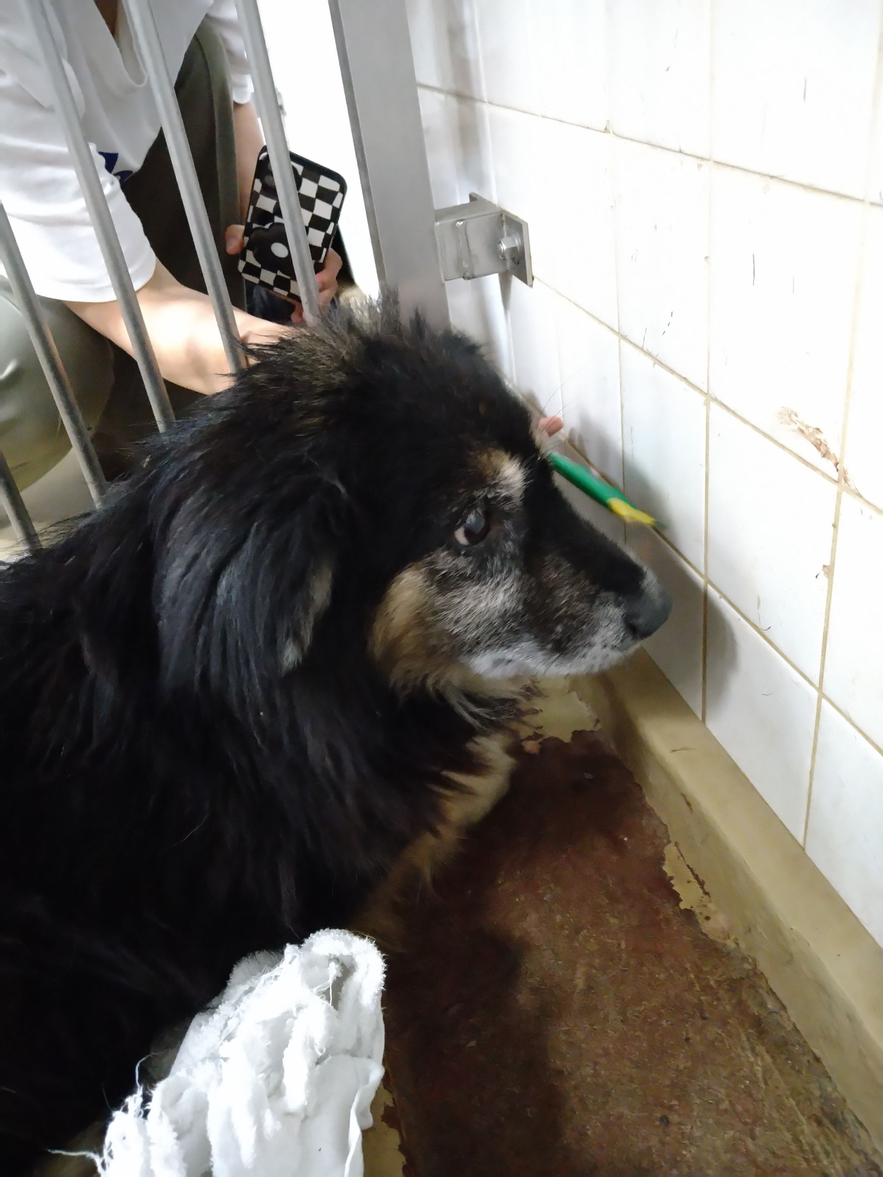 ちょっと若くないかもですが、一生懸命生きてきました。