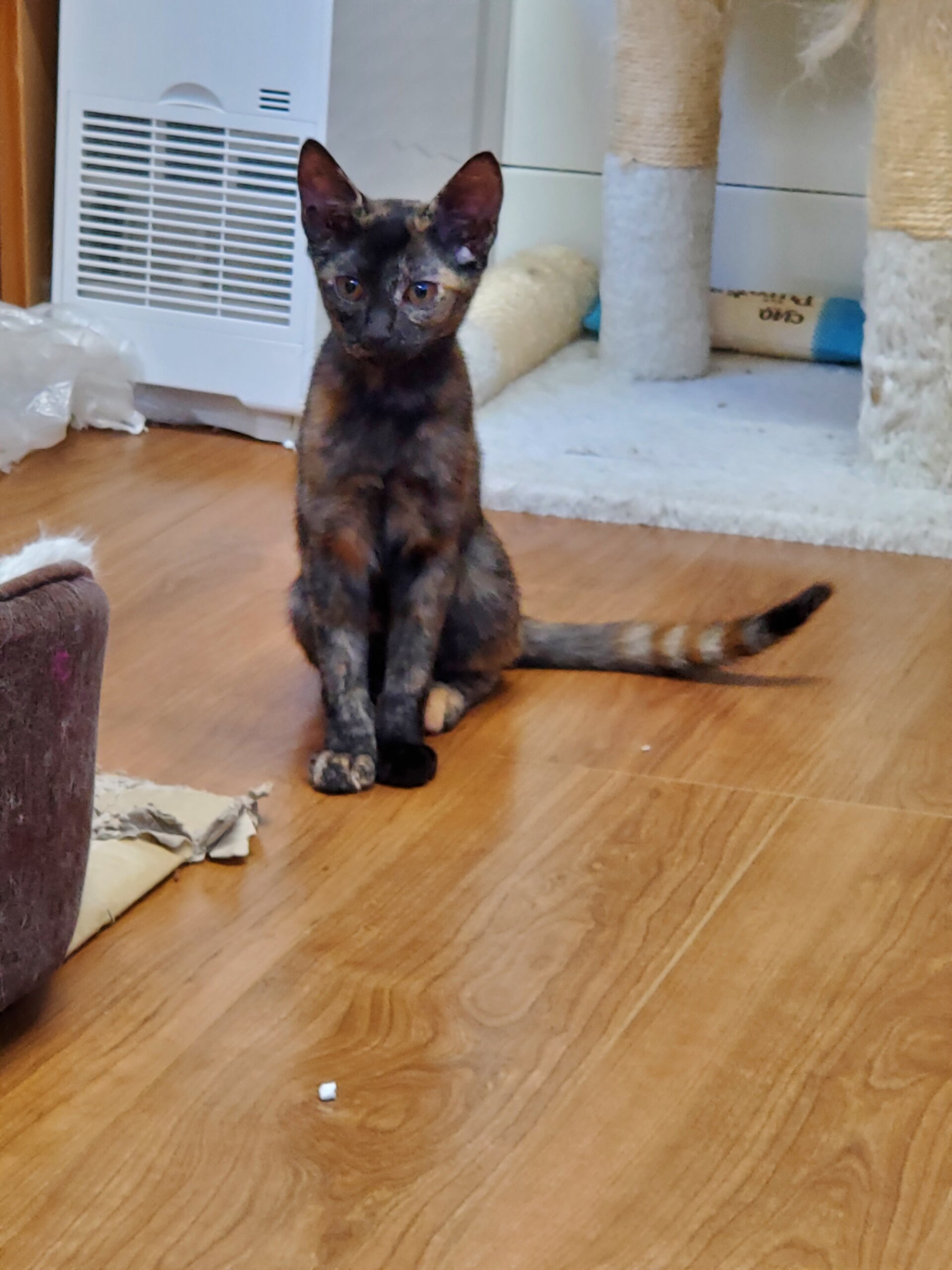 生後4ヵ月の姉妹