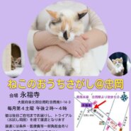 第７回ねこのおうちさがし＠忠岡