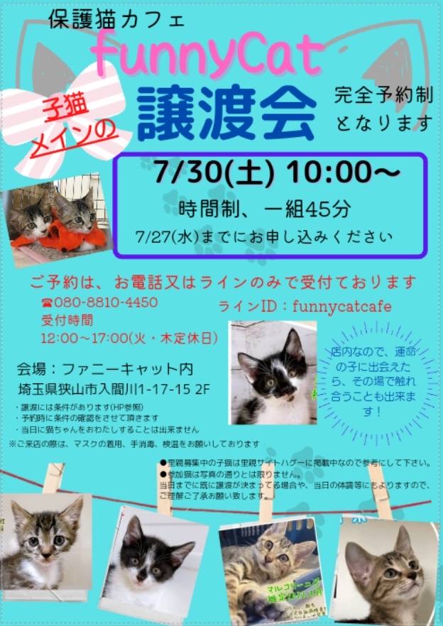 完全予約制子猫譲渡会@funnyCat