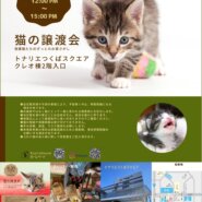猫の譲渡会