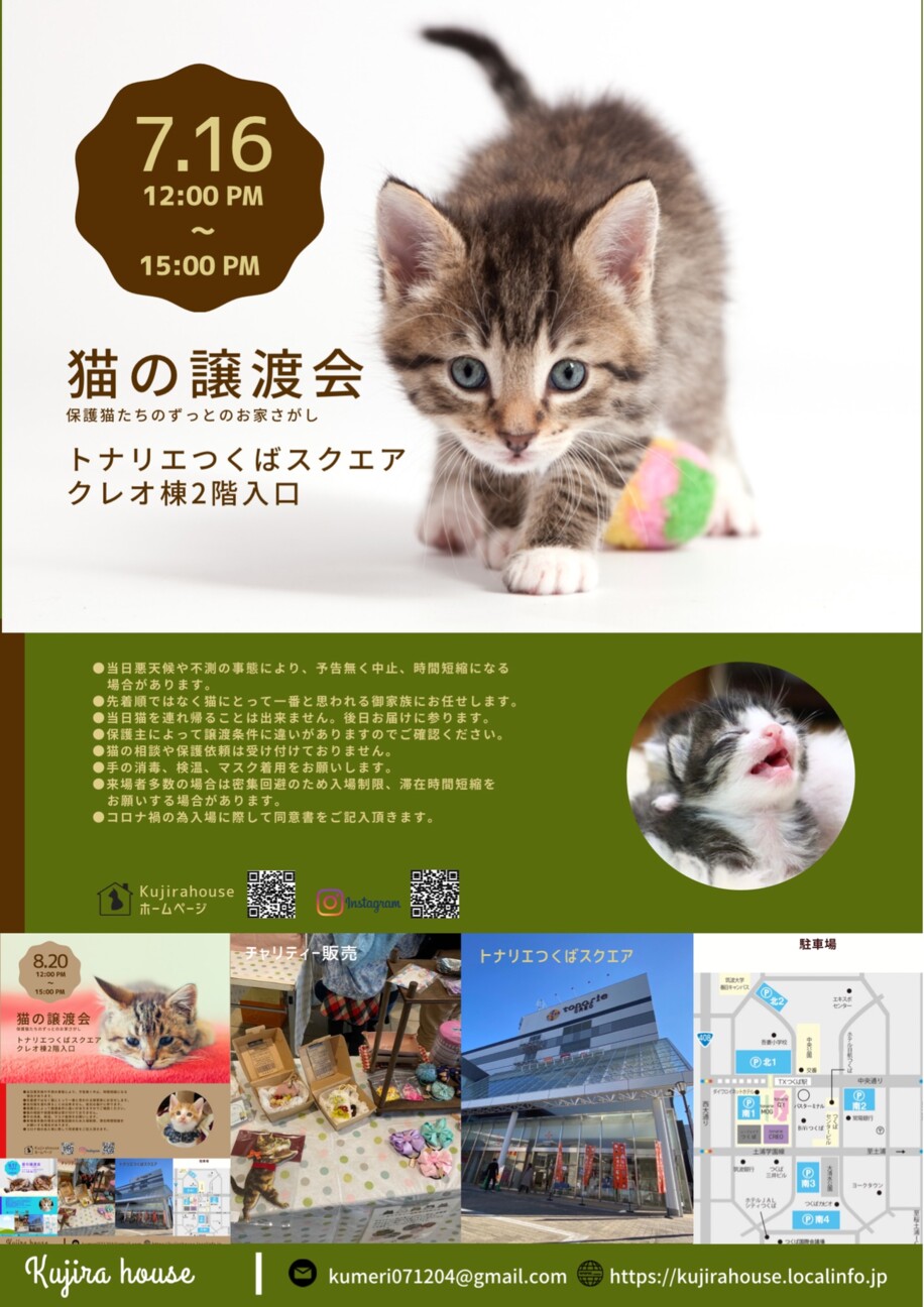 猫の譲渡会
