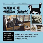 保護猫保護犬の譲渡会