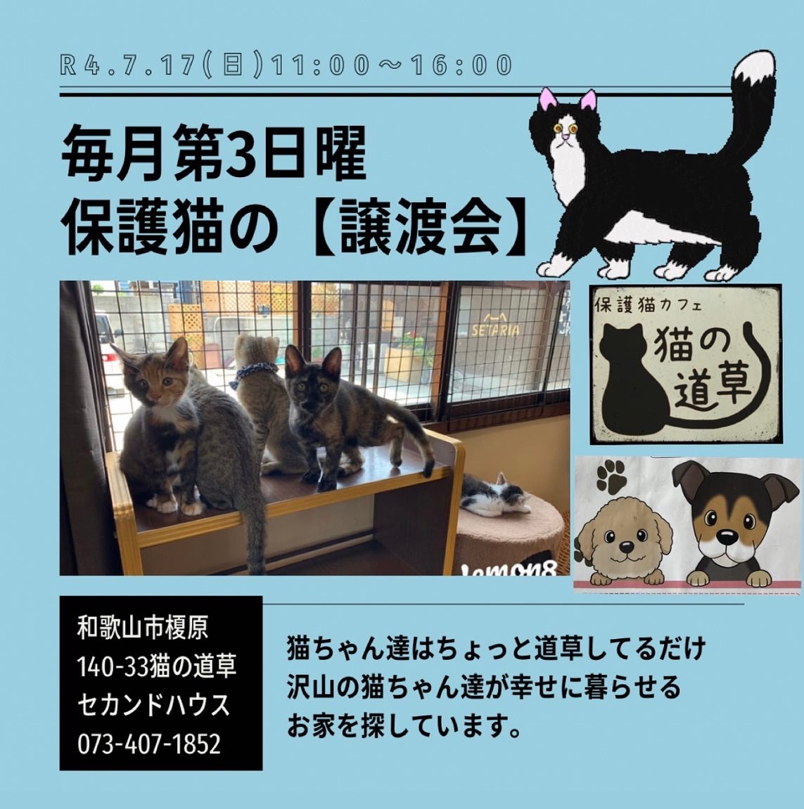 保護猫保護犬の譲渡会