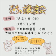 猫の譲渡会