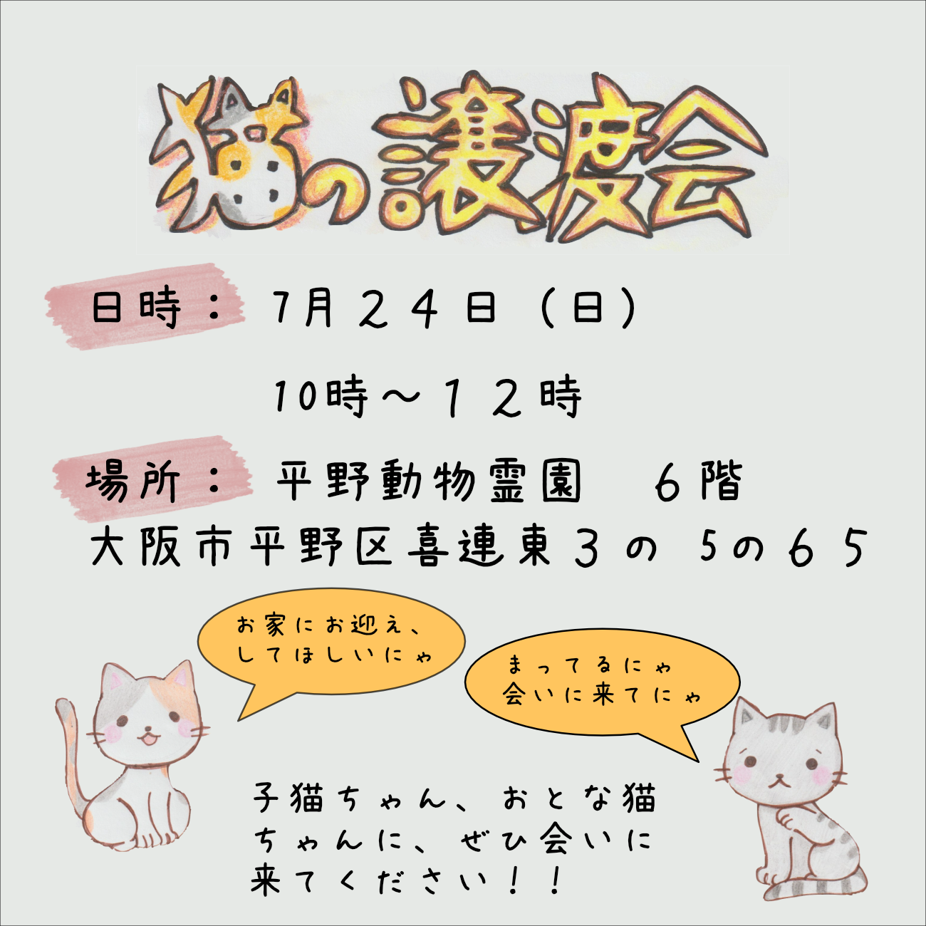 猫の譲渡会