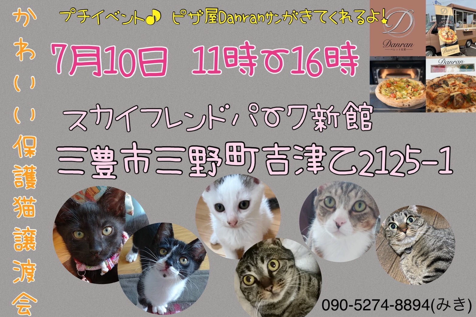 プチイベント＆猫譲渡会！