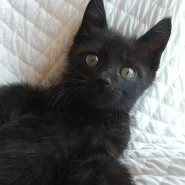 千葉県白井市/甘えん坊の男の子