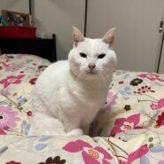 14歳の元気な男に子