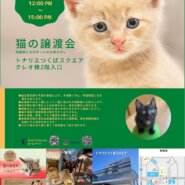 トニャリエつくば譲渡会